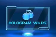 Hologram Wilds